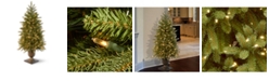 National Tree Company 4' Poly Jersey Fraser Fir Entrance Tree in Dark Bronze Plastic Pot with 100 Clear Lights-UL